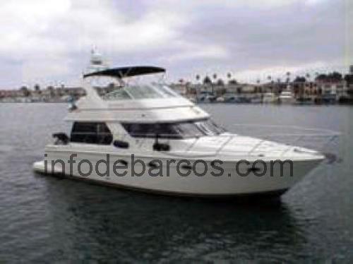Carver 45 Voyager ficha técnica y opiniones